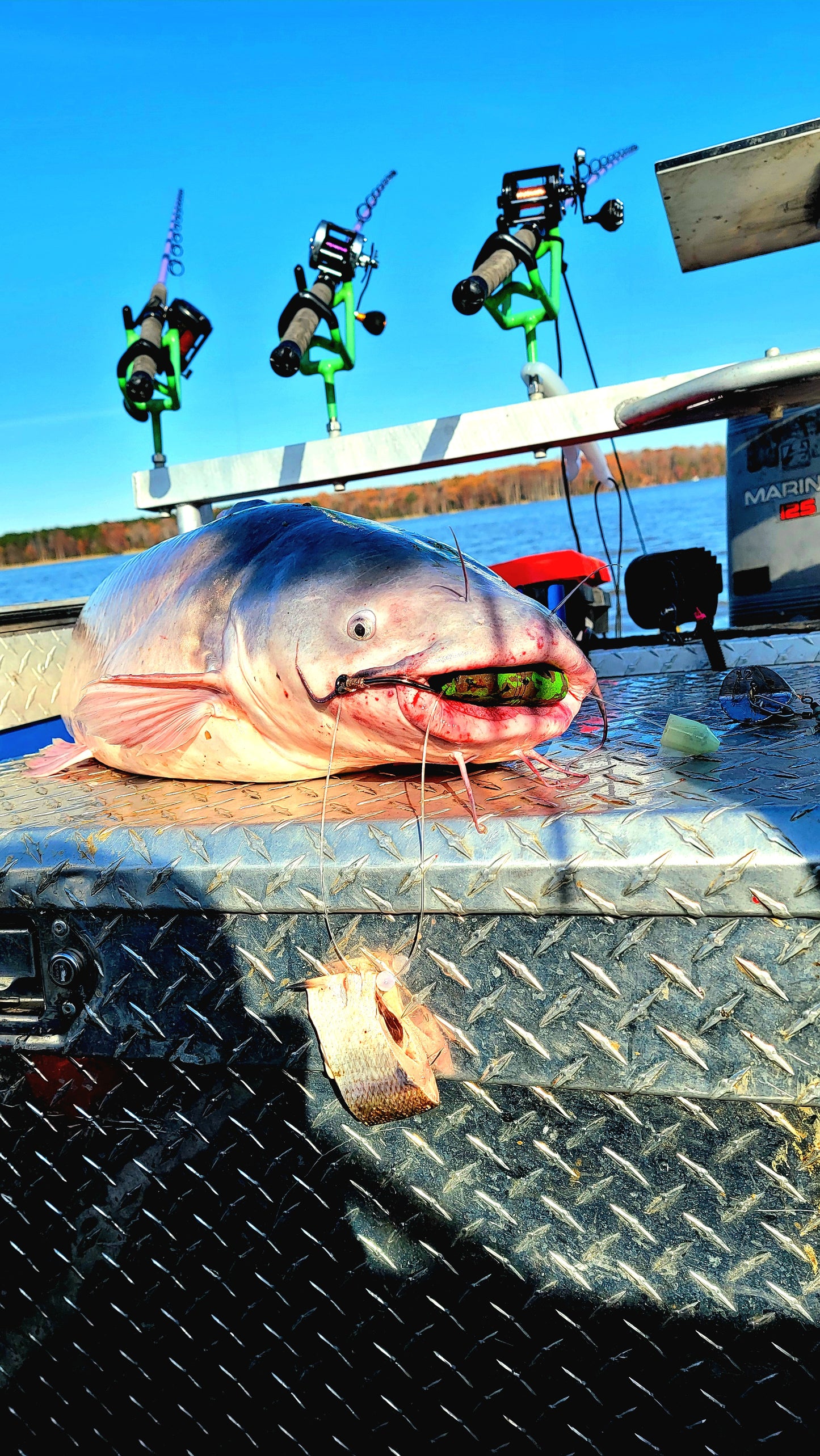 3in x 1in Jumbo EVA Float