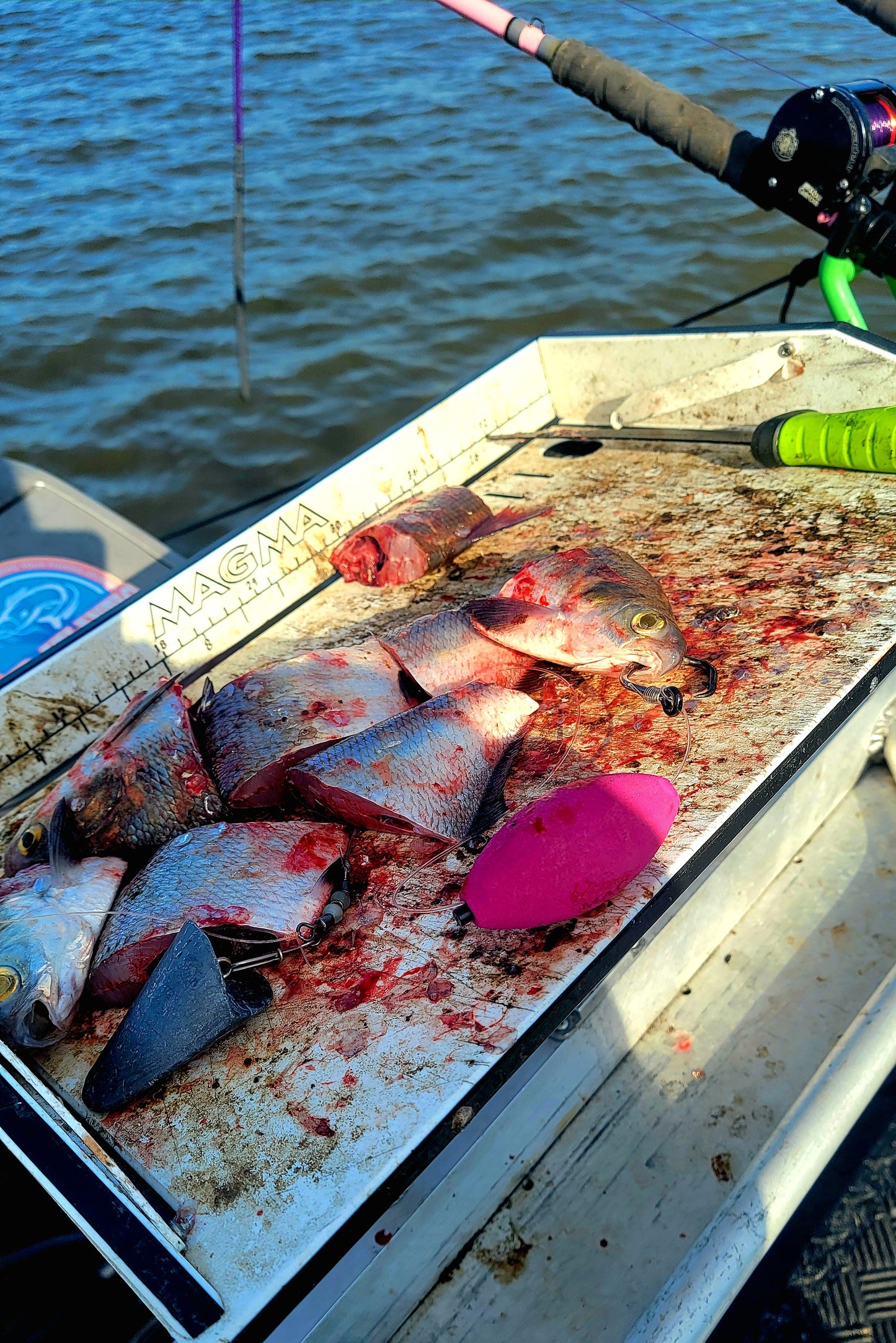 EVA EGG FLOAT 3IN X 2.5IN