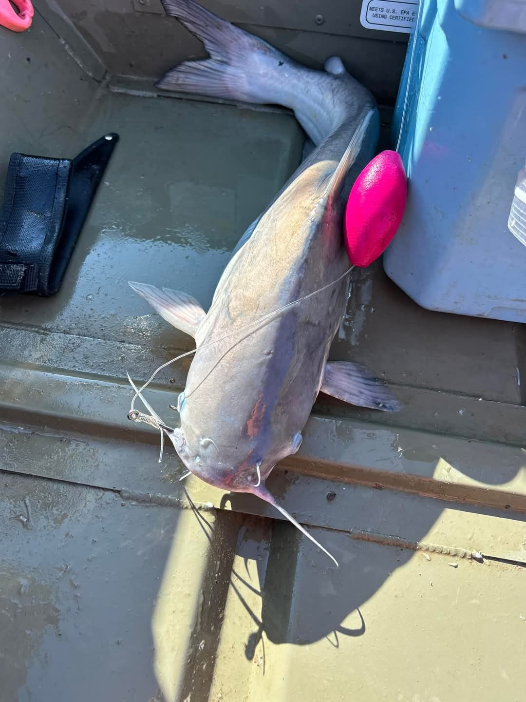 EVA EGG FLOAT 3IN X 2.5IN