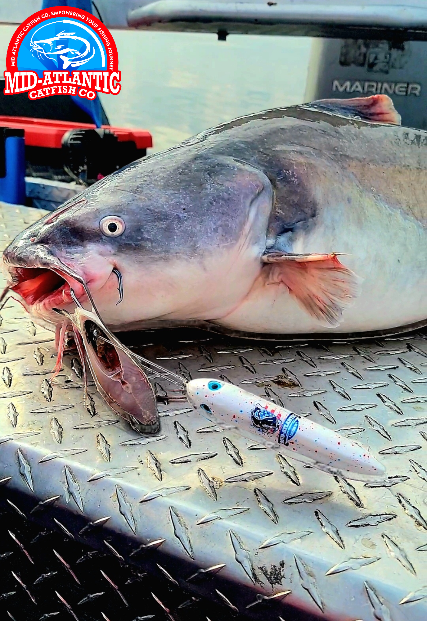 Mid-Atlantic Catfish Signature Rattle By Hoosier