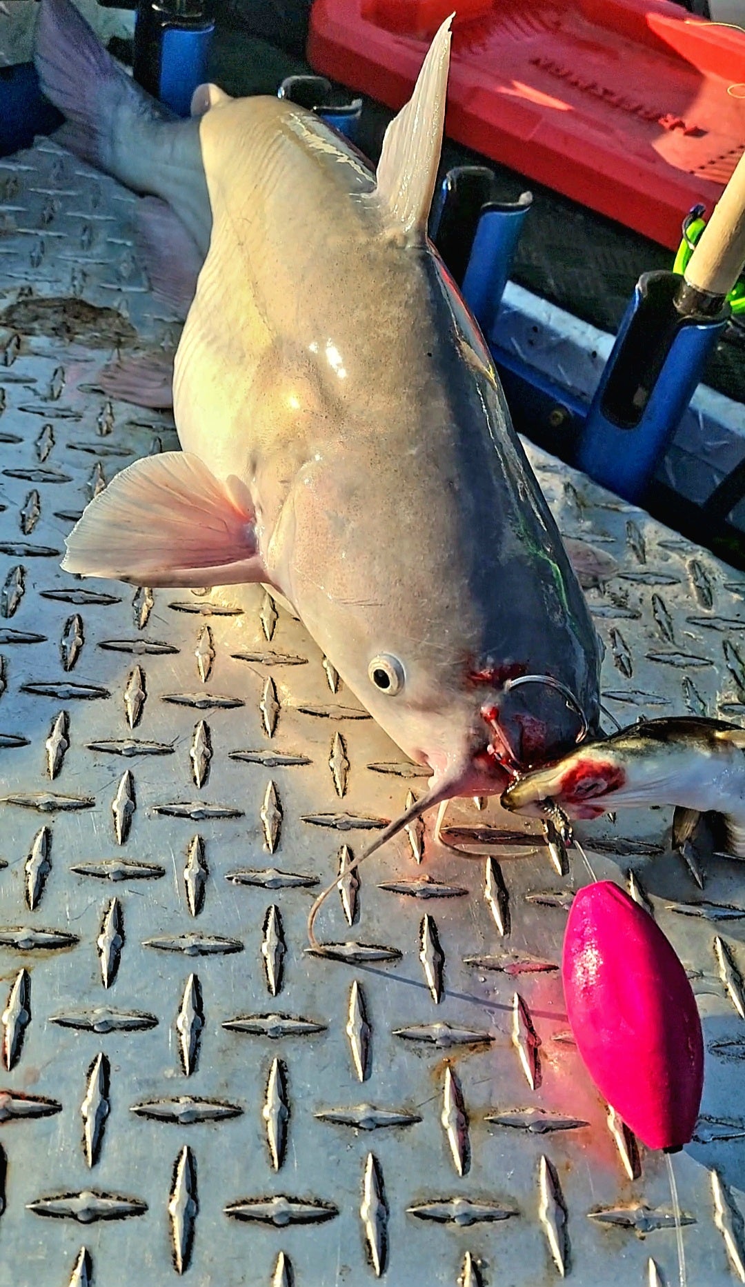 Bounty Hunter Hook Series