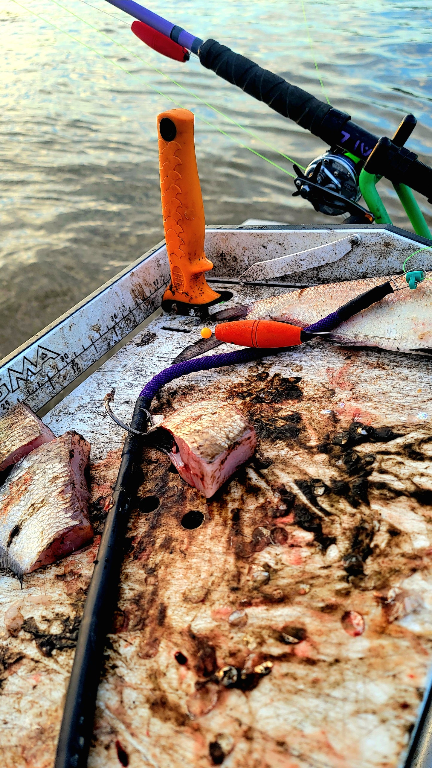 Orange Crush EVA 2.5in