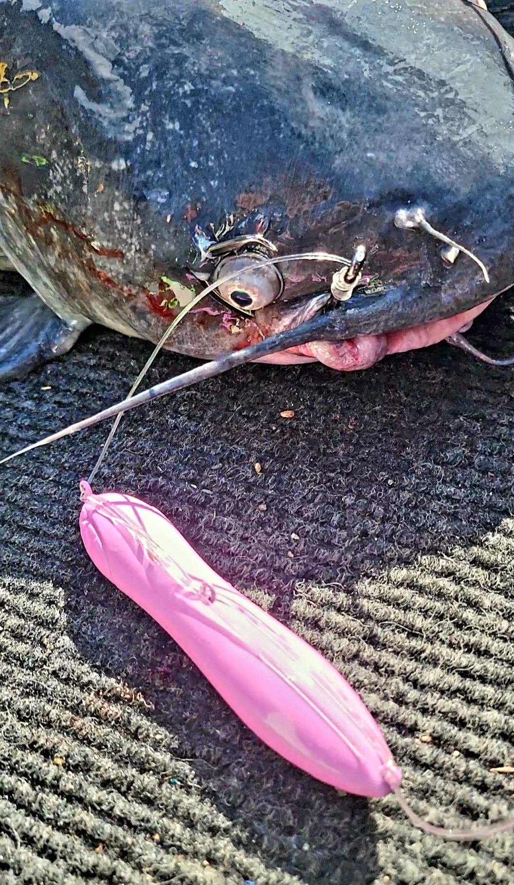 Signature Non Rattle Pencil Lure 5in Jumbo