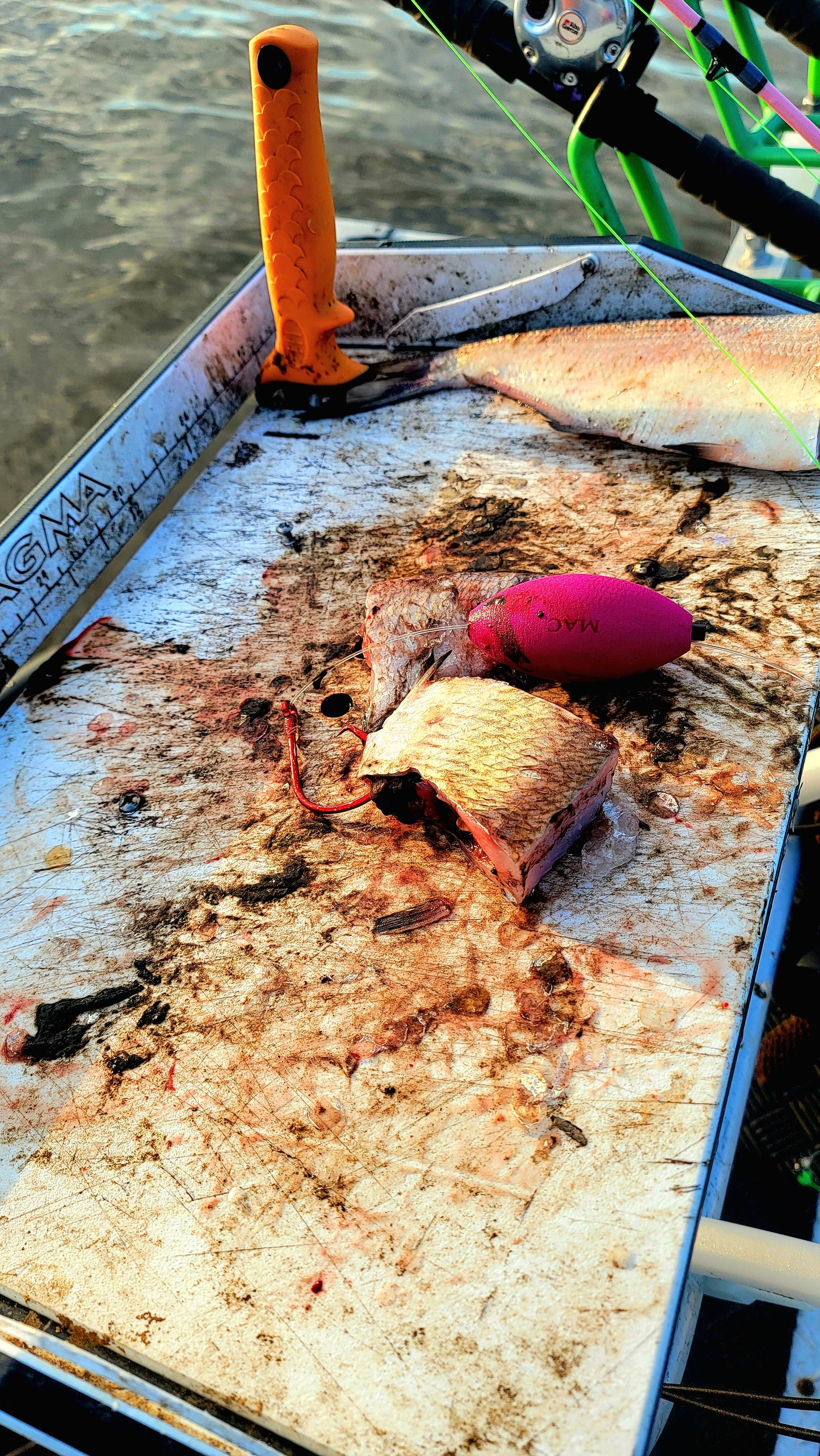 EVA EGG FLOAT 3IN X 2.5IN