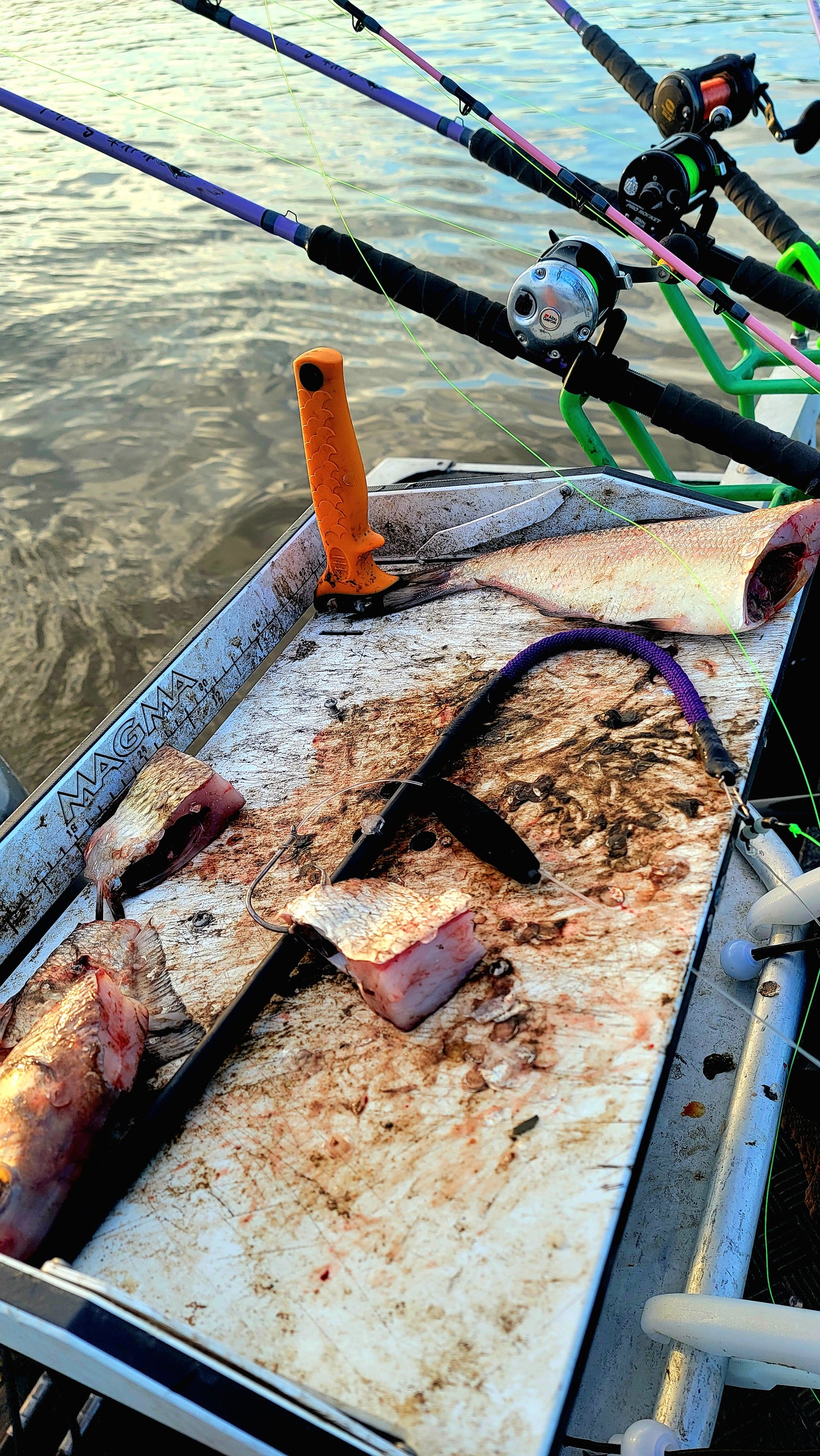 3in x .5in EVA Float