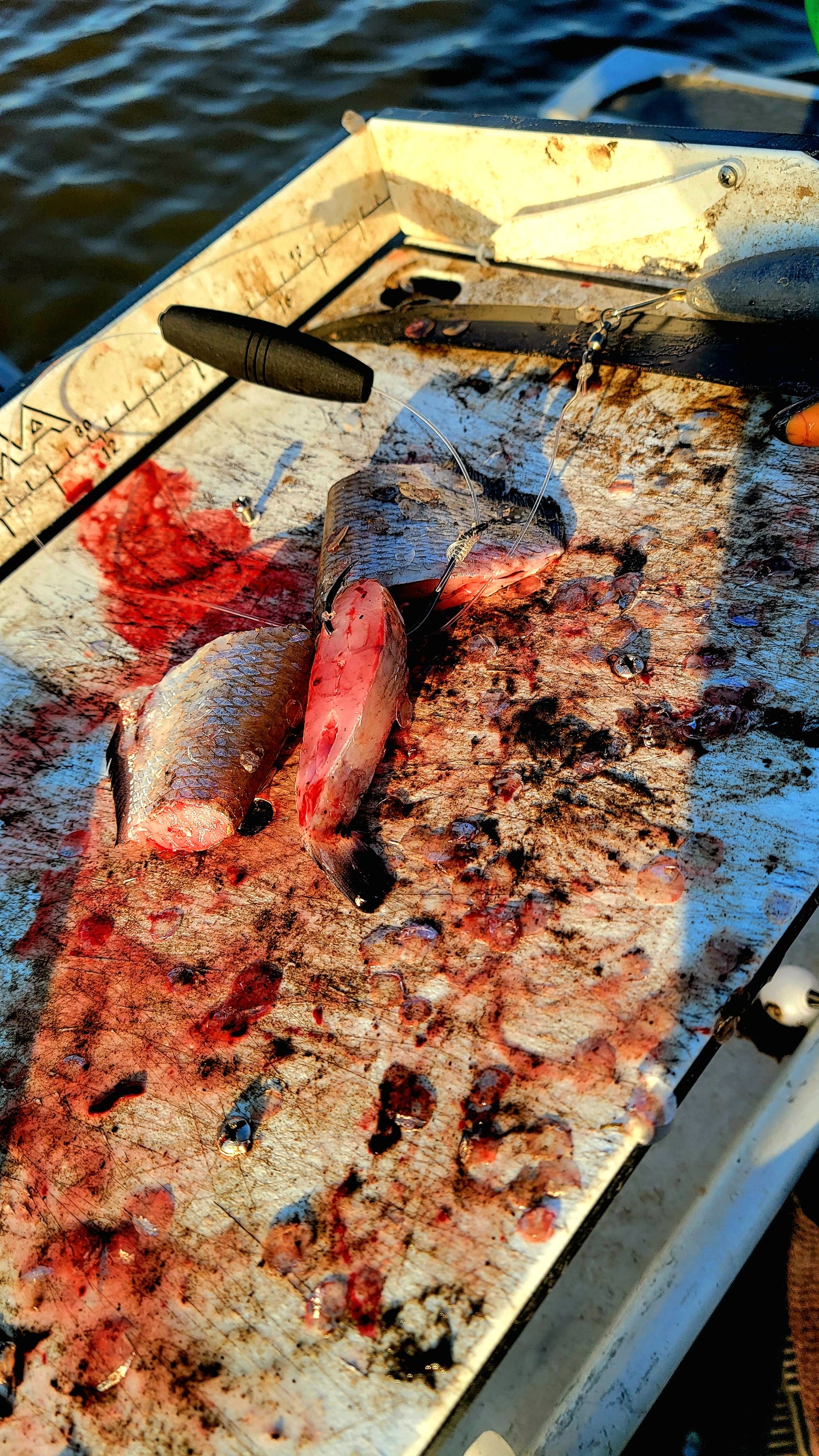 Challenger Hook Series