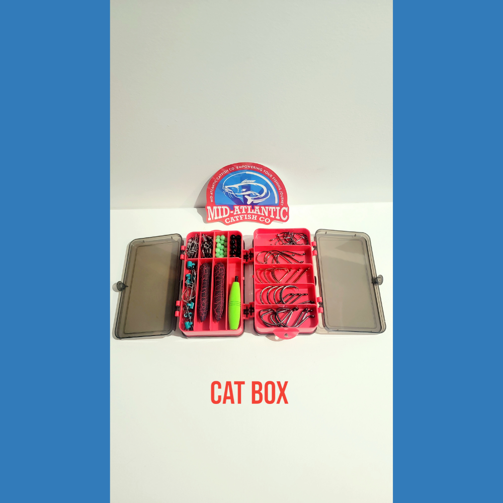 Cat Box