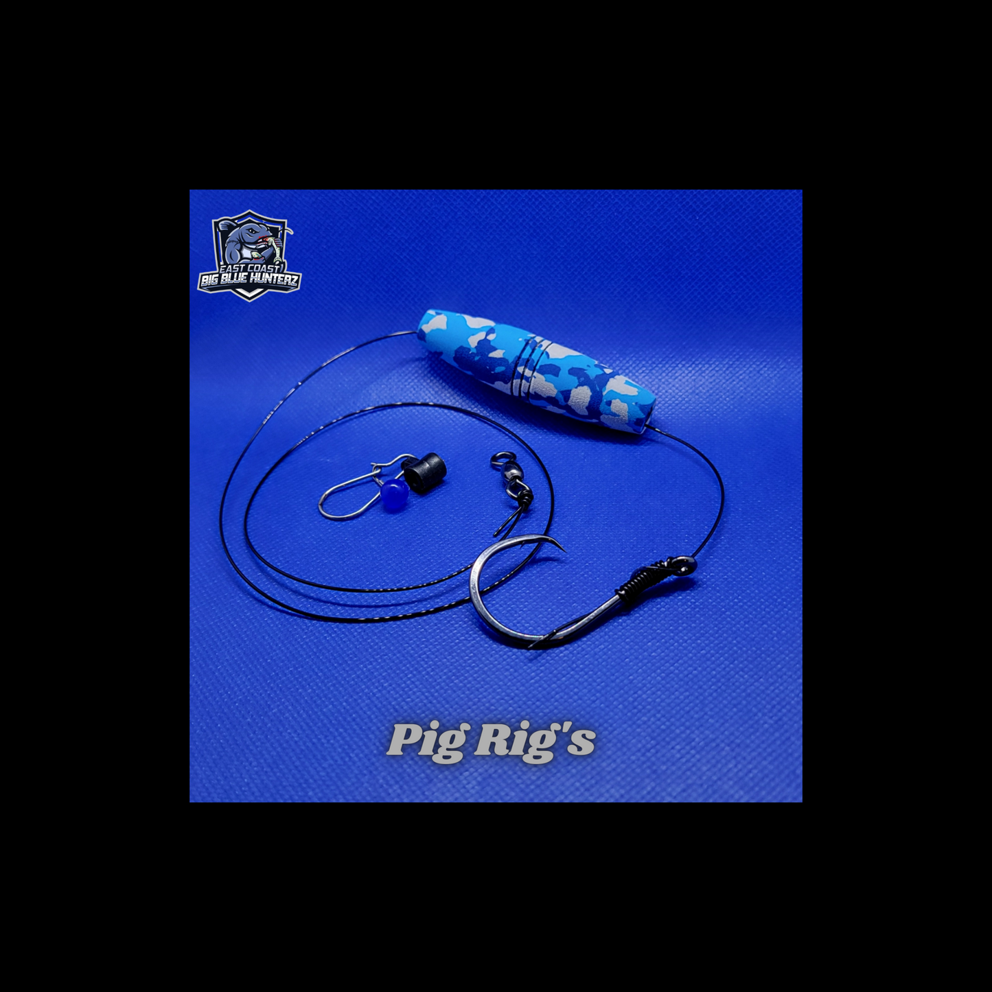 ECBH Pig Rig's