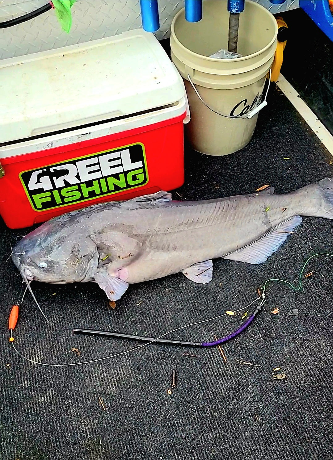 Orange Crush EVA 2.5in